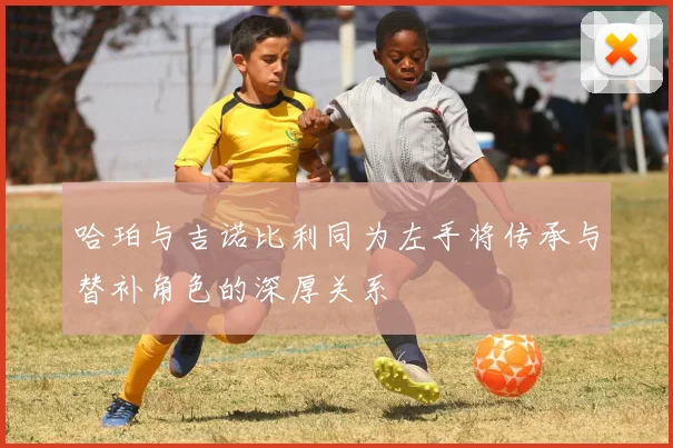 哈珀与吉诺比利同为左手将传承与替补角色的深厚关系