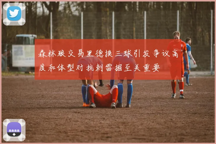 森林狼交易里德换三球引发争议高度和体型对抗刺雷掘至关重要
